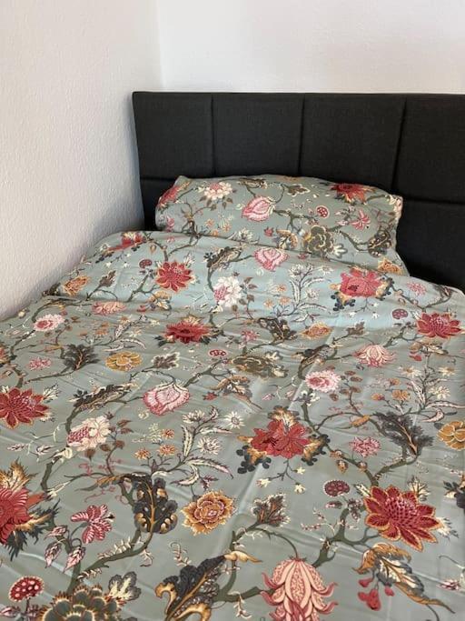City Appartement Direkt Am Schloss! Karlsruhe Ngoại thất bức ảnh