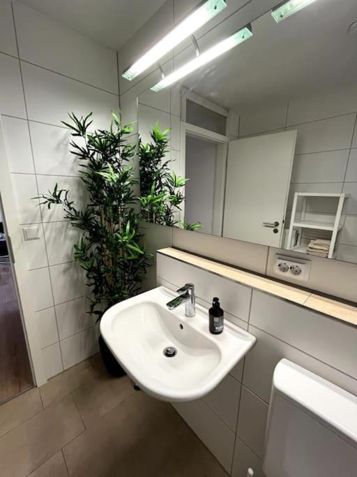 City Appartement Direkt Am Schloss! Karlsruhe Ngoại thất bức ảnh