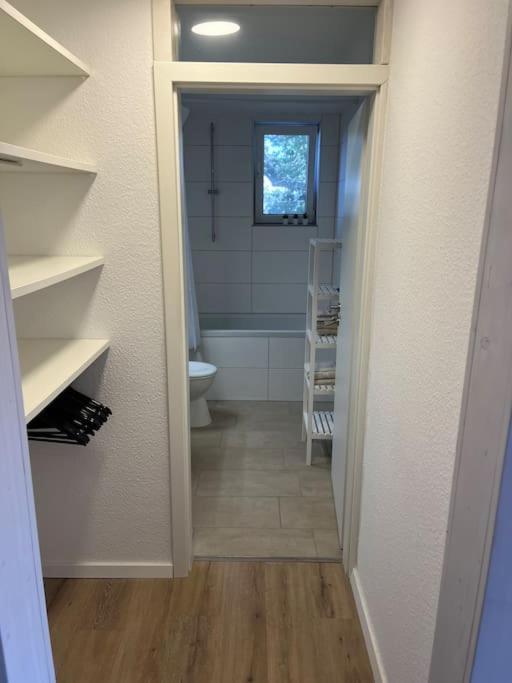 City Appartement Direkt Am Schloss! Karlsruhe Ngoại thất bức ảnh